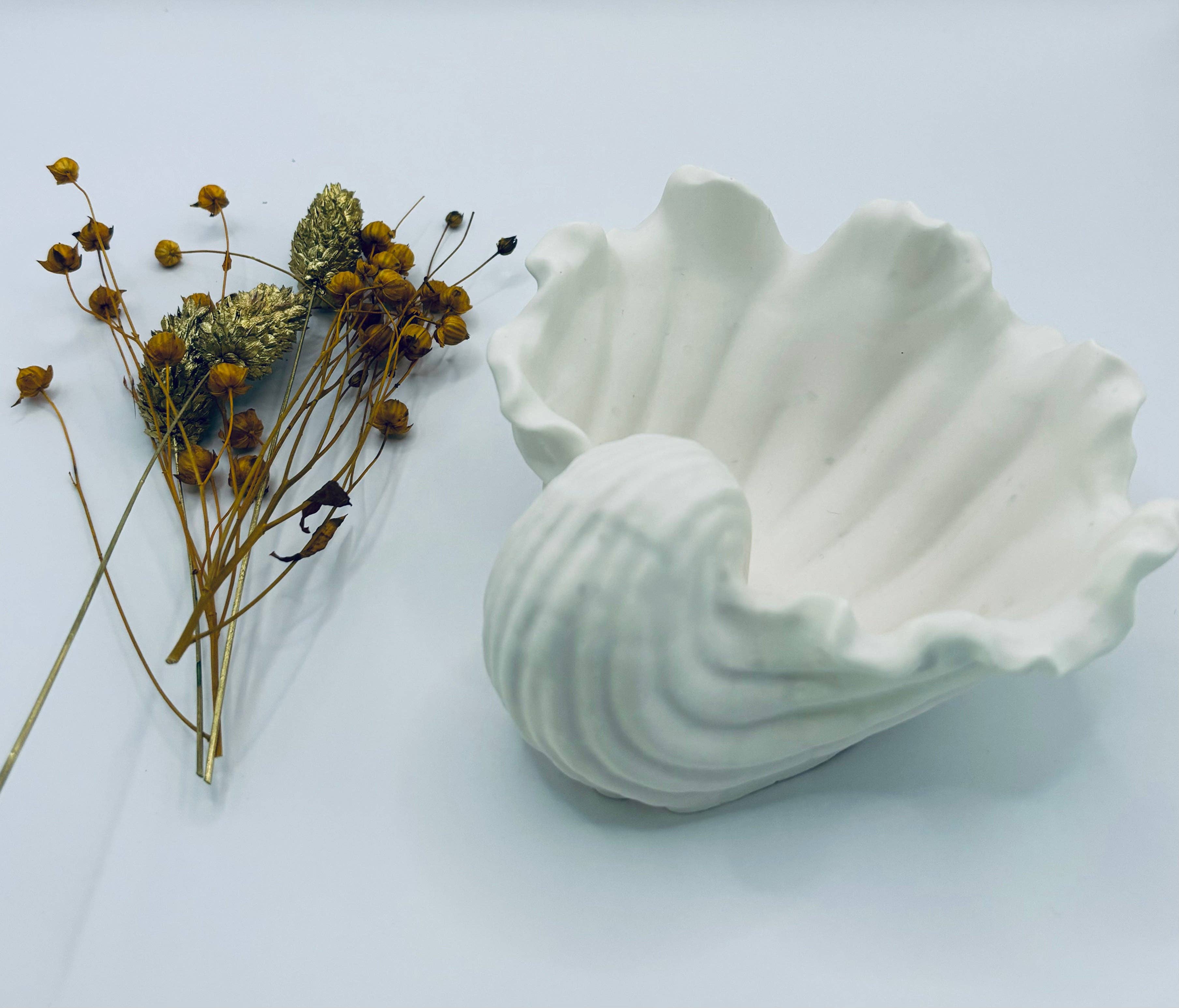 Weiß Conchilglia di Lusso - Schalen und Töpfe aus umweltfreundlichem Verbundmaterial für den Großhandel auf Faire1