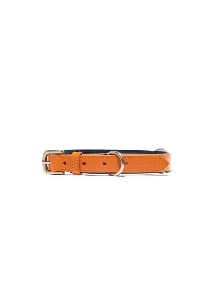 Lucca Dog Collar in Italian Leather - Iconic Orange for wholesale by SHIBA & Co