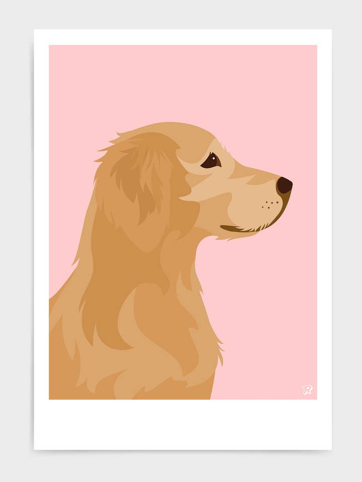 Golden Retriever pour la vente par Rocket Jack