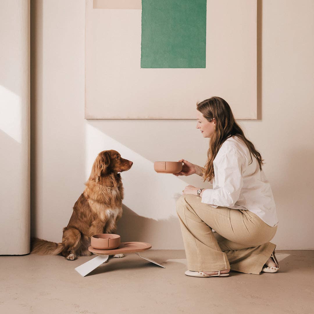 PINO – Engroshandel Kæledyrsskål – Hund – Klassisk skål63