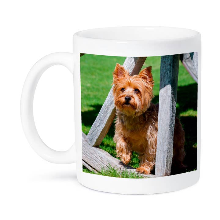3dRose - Wholesale Coffee Mug - 3dRose, Yorkshire Terrier standing in a wagon wheel, Mug8