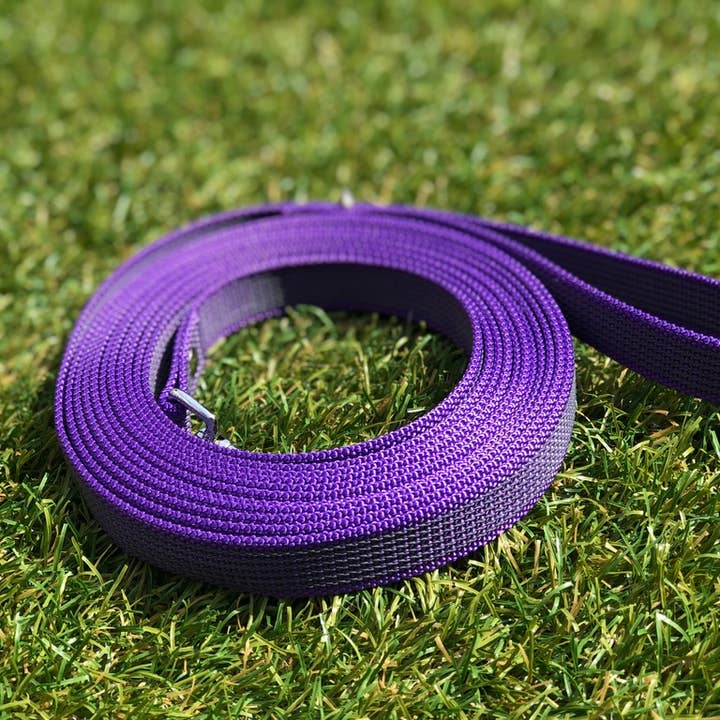 Four Paws Boutique - Wholesale Pet Leash - Dog - Dog Leash - Non-Slip Leash - Purple - Training - Tracking Line