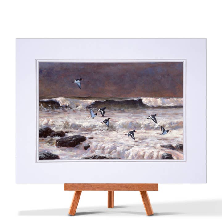 Oyster Catchers Fine Art Print for wholesale by Julian Friers Wildlife Art & Gifts