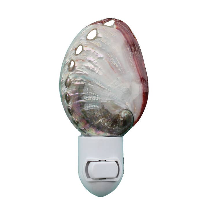 Polished Red Abalone Seashell Night Light for wholesale by California Seashell Company