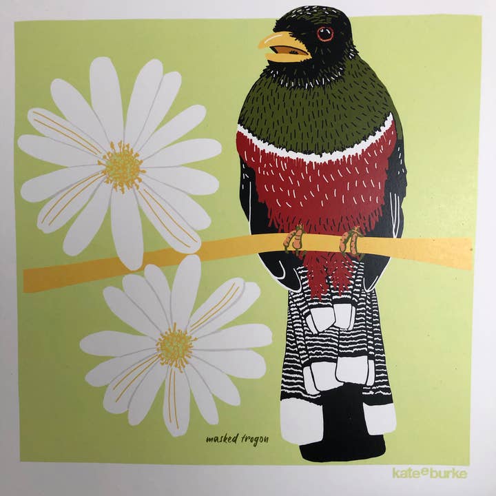 Kate E. Burke - Wholesale Art Print - Bird Series: Masked Trogon 11x14 Digital Print3