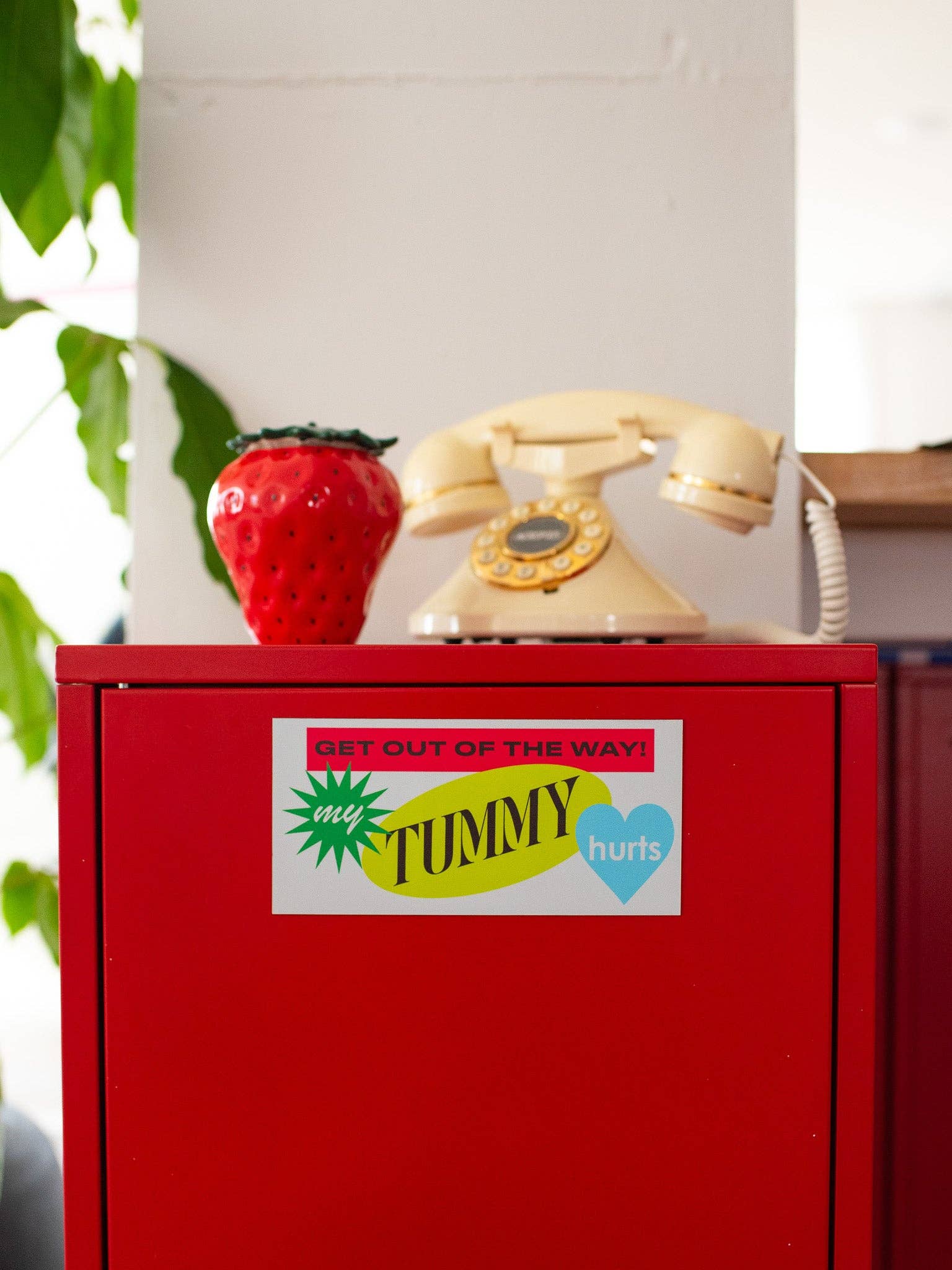 A Shop of Things - Wholesale Magnet - Tummy Hurts Car Magnet3