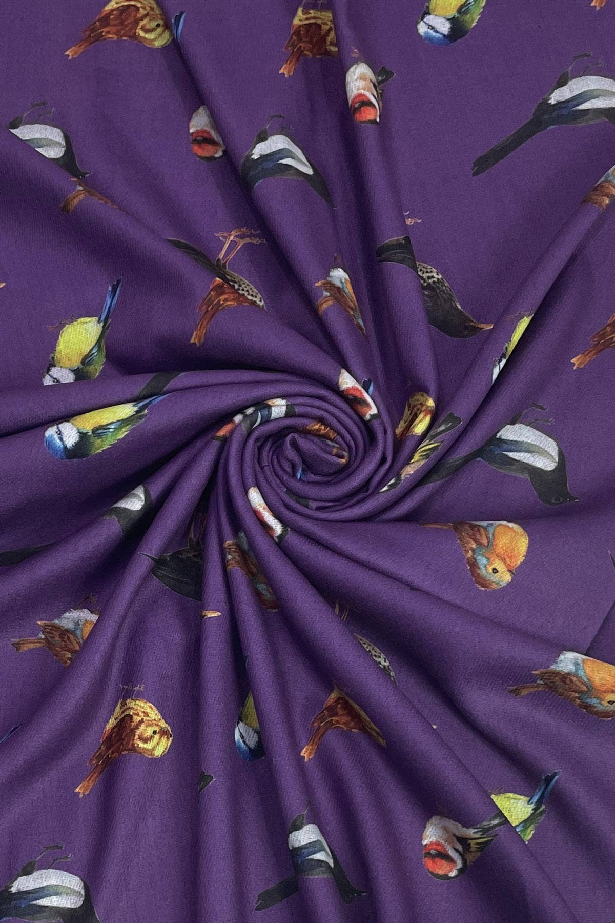 Fashion Scarf World - Wholesale Sjaal - Dames - Sjaal met kwastjes en print van British Wildlife Birds3