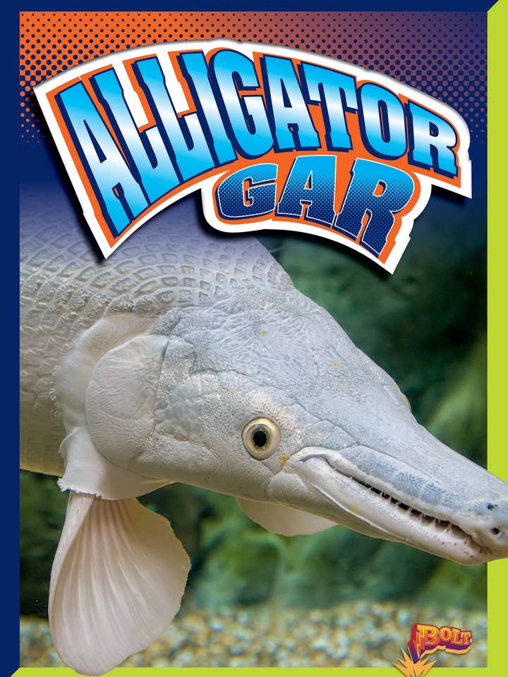 Équipement en alligator pour la vente par Black Rabbit Books