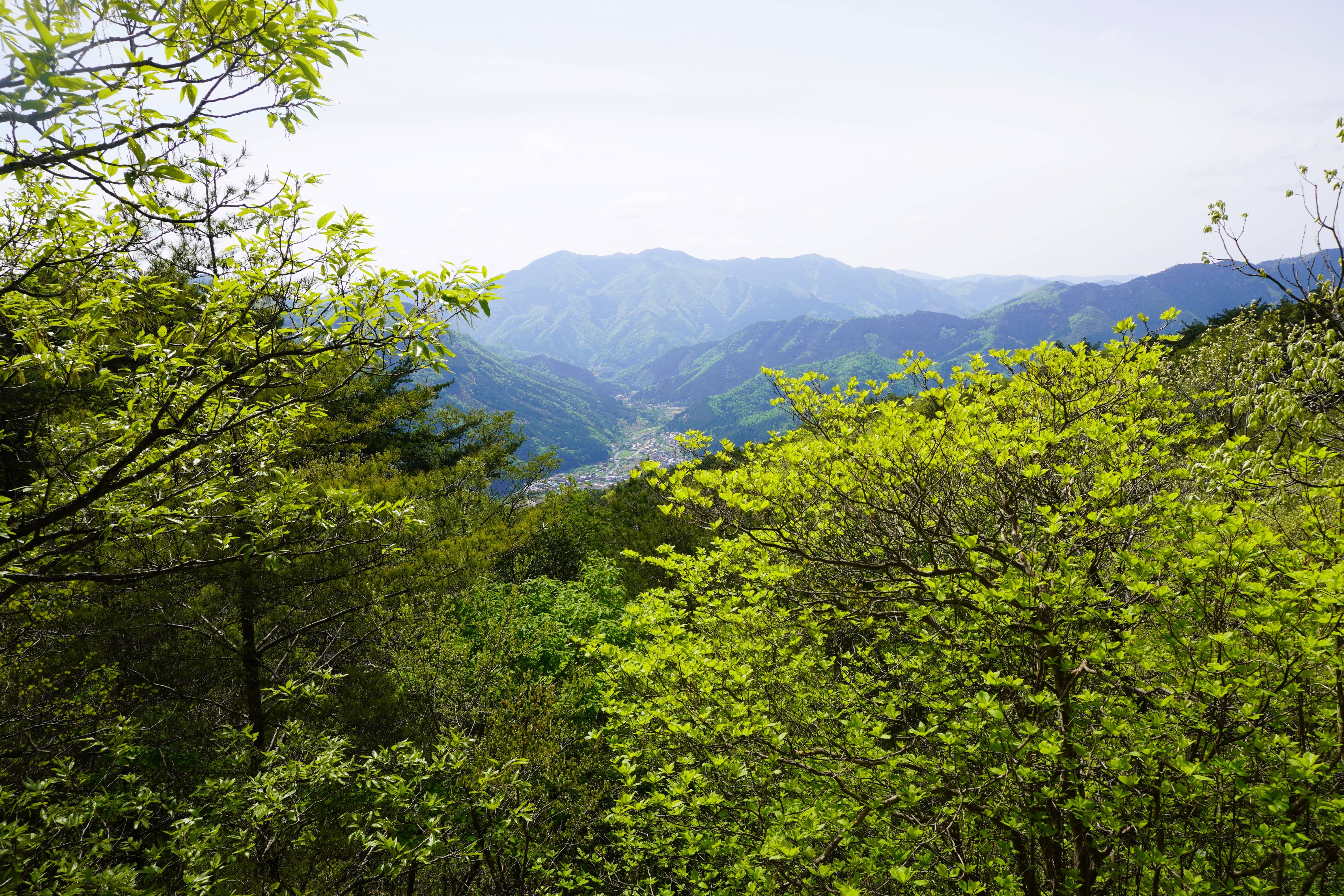 Japan Artisans - Wholesale Vinegar - Tajima-Smoked Vinegar [Konotori Junmai] – 200ml | Japan3