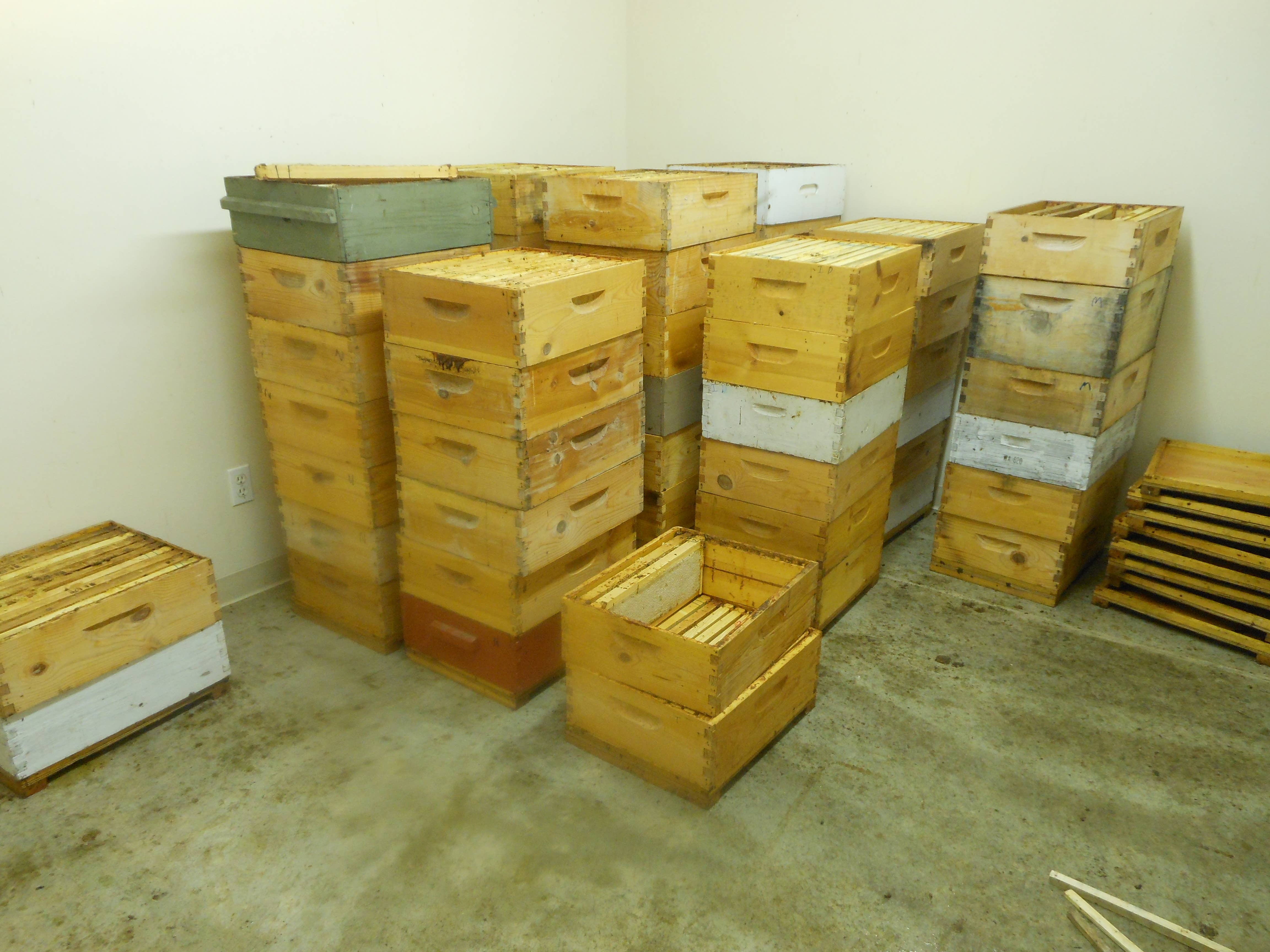 Bees-to-Bubbles Handcrafted Soaps – Engroshandel Sæbestykke – Sandeltræ og vanille sæbe3