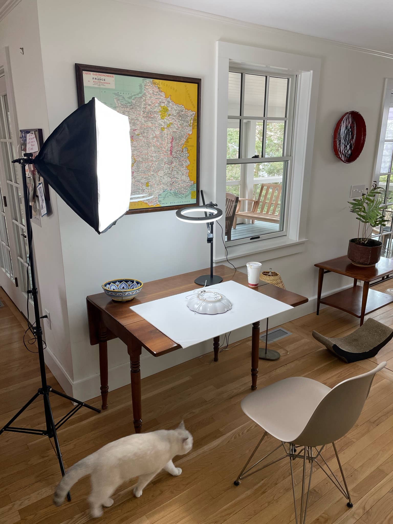 Display Buddie LLC – Großhandel Wandhaken – Kleiner verstellbarer Telleraufhänger | Passend für 9"-13" Wanddekoration8