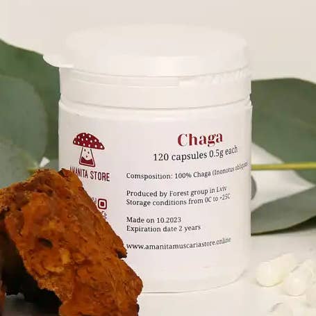Chaga (Inonotus obliquus) capsules for wholesale by Amantia store