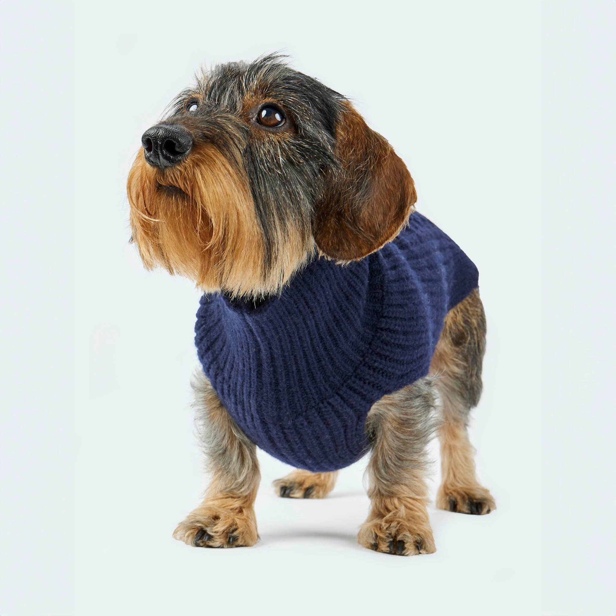 ​​Leopold's Finest for dogs - Wholesale Pet Sweater - Dog - Dark blue dog sweater5