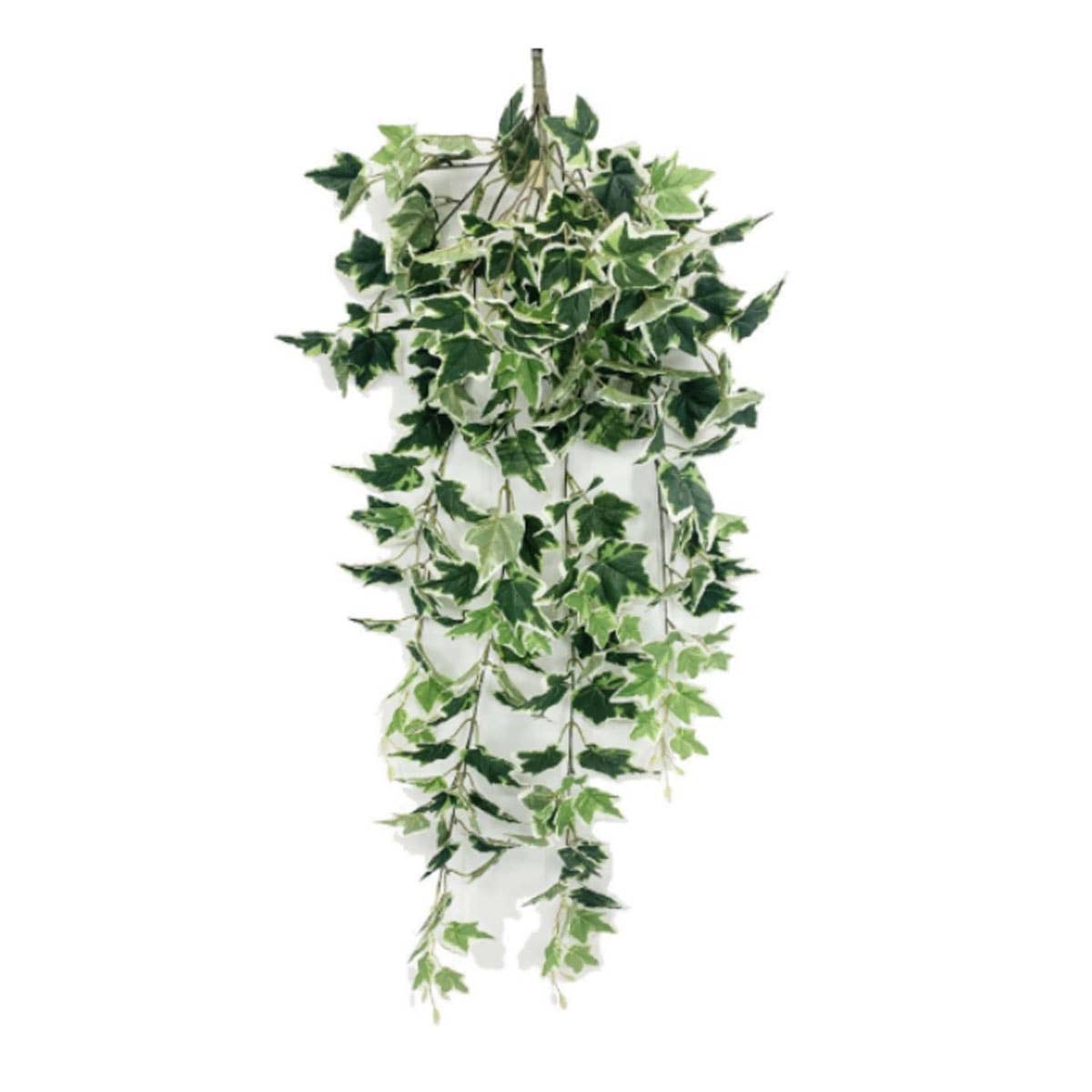 Eleganza Floral – wholesale Artificial plant – 42" English Ivy Bush with 240 Leaves Green White0