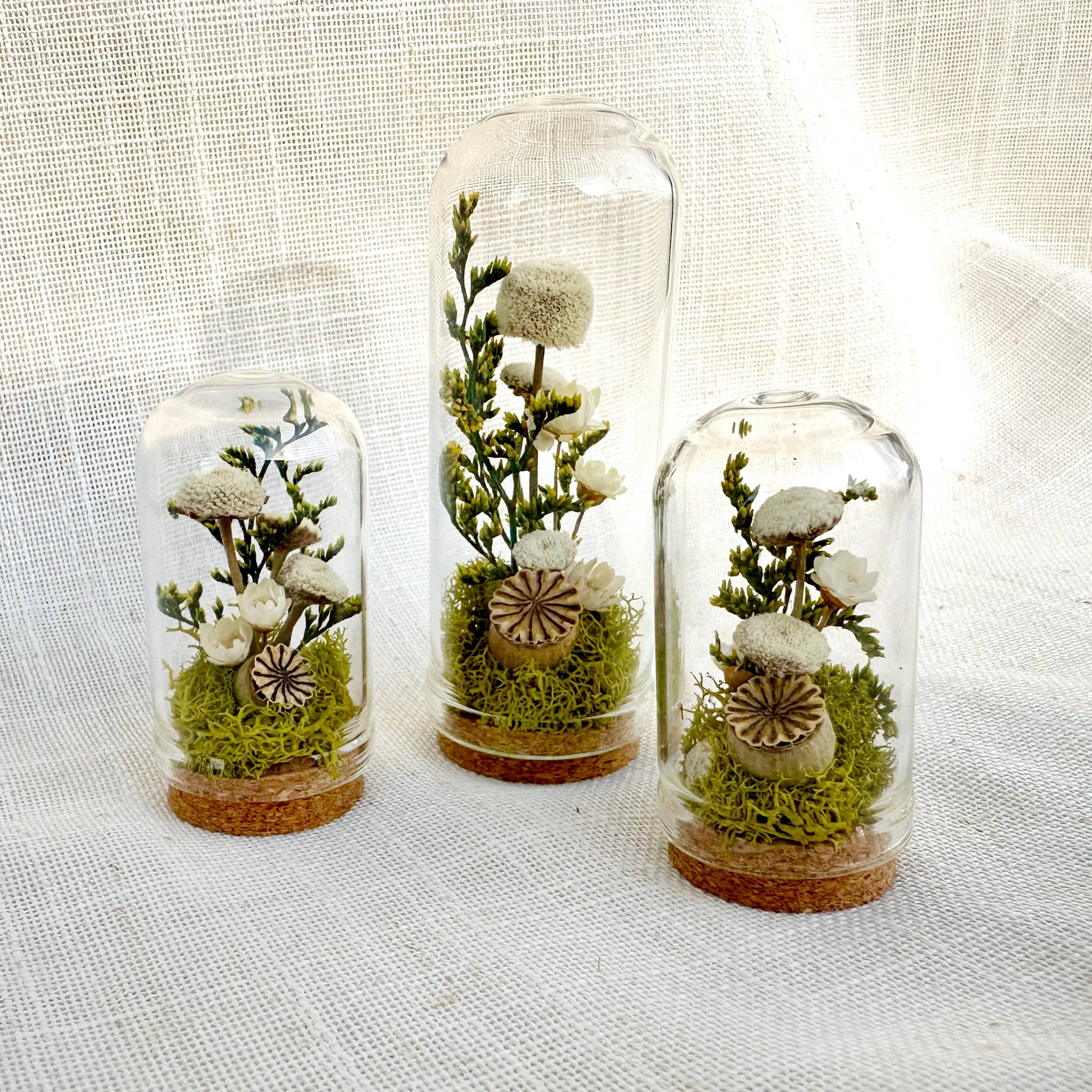 CA Studios - Wholesale Terrarium - Flower Forest Mini Glass Cloche Terrarium w. Dried Florals7