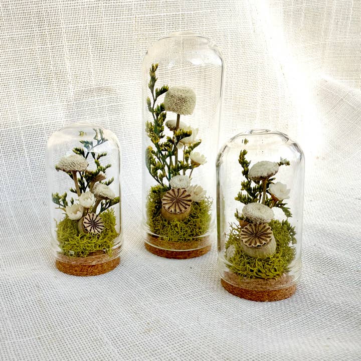 CA Studios - Wholesale Terrarium - Flower Forest Mini Glass Cloche Terrarium w. Dried Florals7
