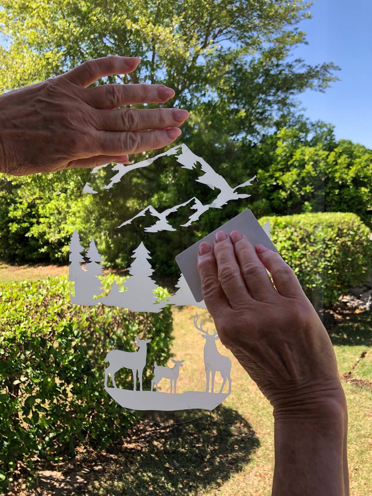 DCentral Magnetics - Venta al por mayor Vinilo/adhesivo de pared - Bird & Butterfly - Vinilo adhesivo para ventana «grabado»5