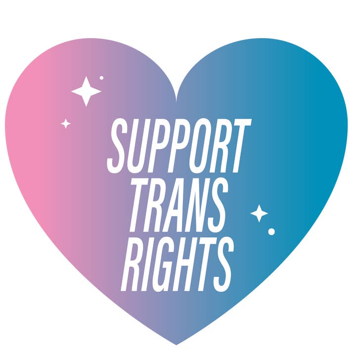 Bewilderment - Wholesale Sticker - Support Trans Rights Vinyl Sticker