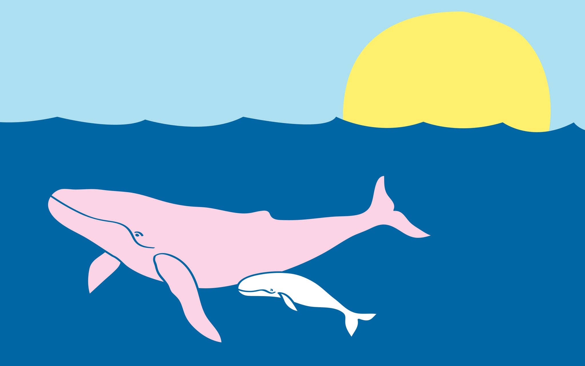 White Humpback Whale T-Shirt - Short Sleeve, Kids for wholesale on Faire3