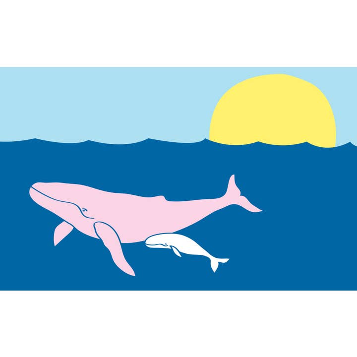 White Humpback Whale T-Shirt - Short Sleeve, Kids for wholesale on Faire3