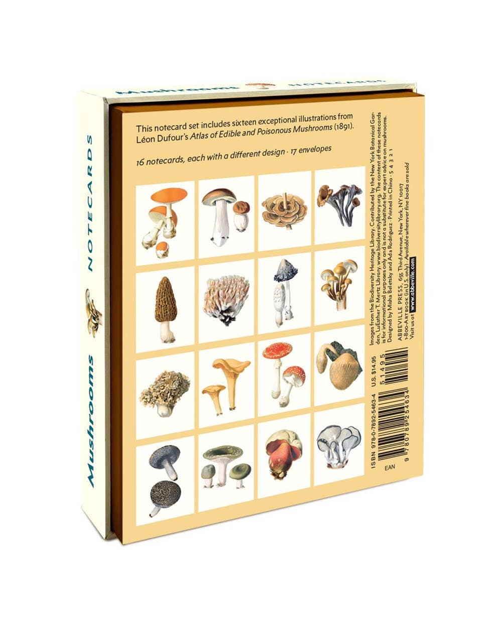 W. W. Norton - Wholesale Nature & Outdoors - Mushrooms1