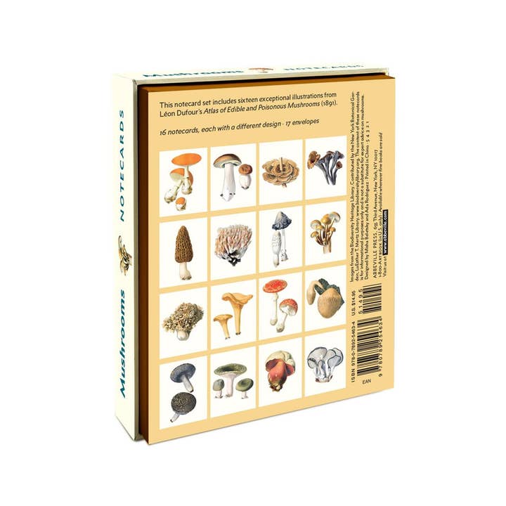 W. W. Norton - Wholesale Nature & Outdoors - Mushrooms1