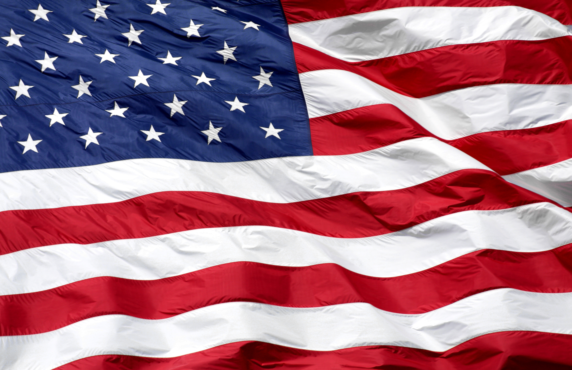 TAYLOR GRAY - Wholesale Decorative Tray - 11x17 ALL YEAR LONG VOL 3 insert set of 127