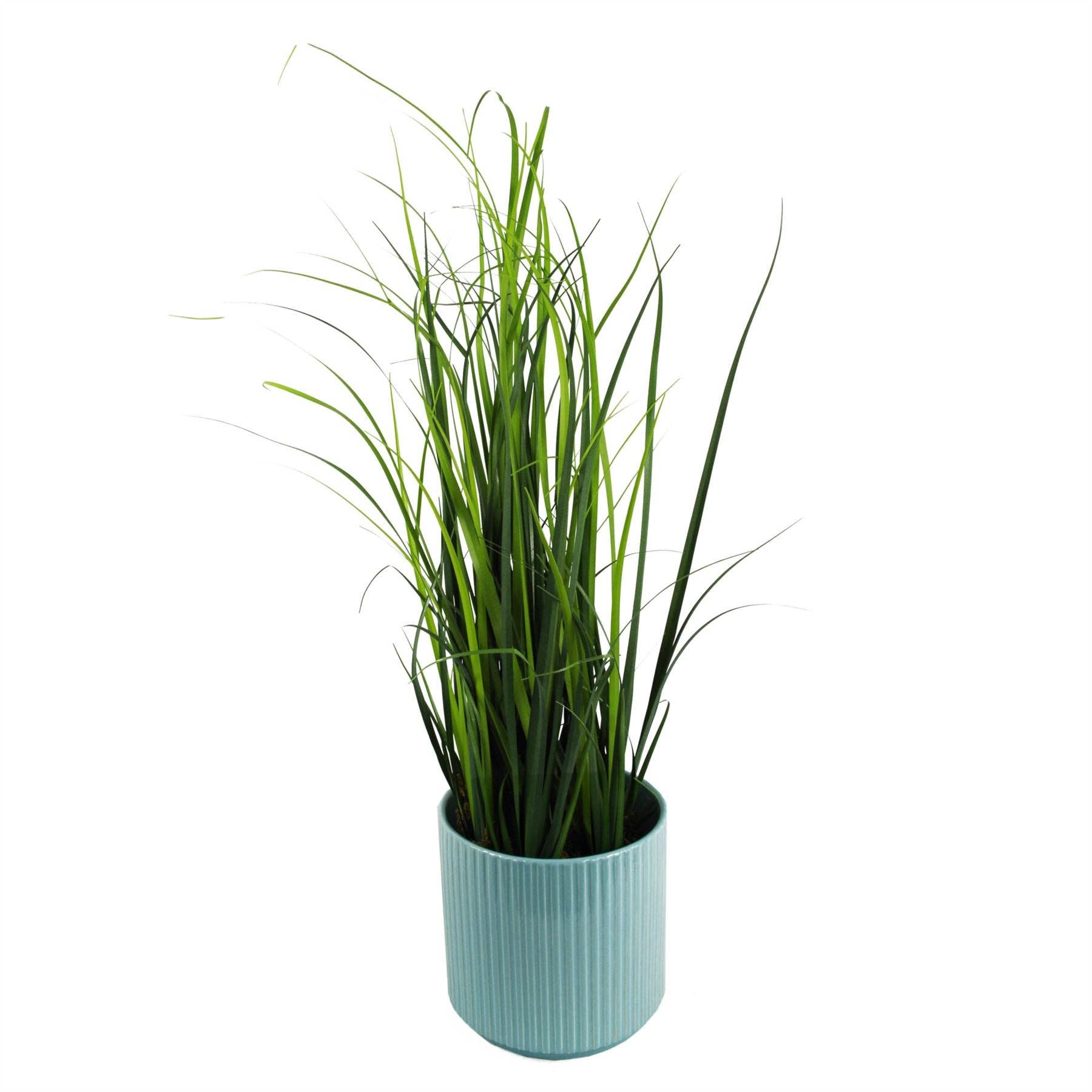 Leaf Design UK LTD - Vente Plantes artificielles - Gazon artificiel, feuillage, citronnelle, plantes de 60 cm6