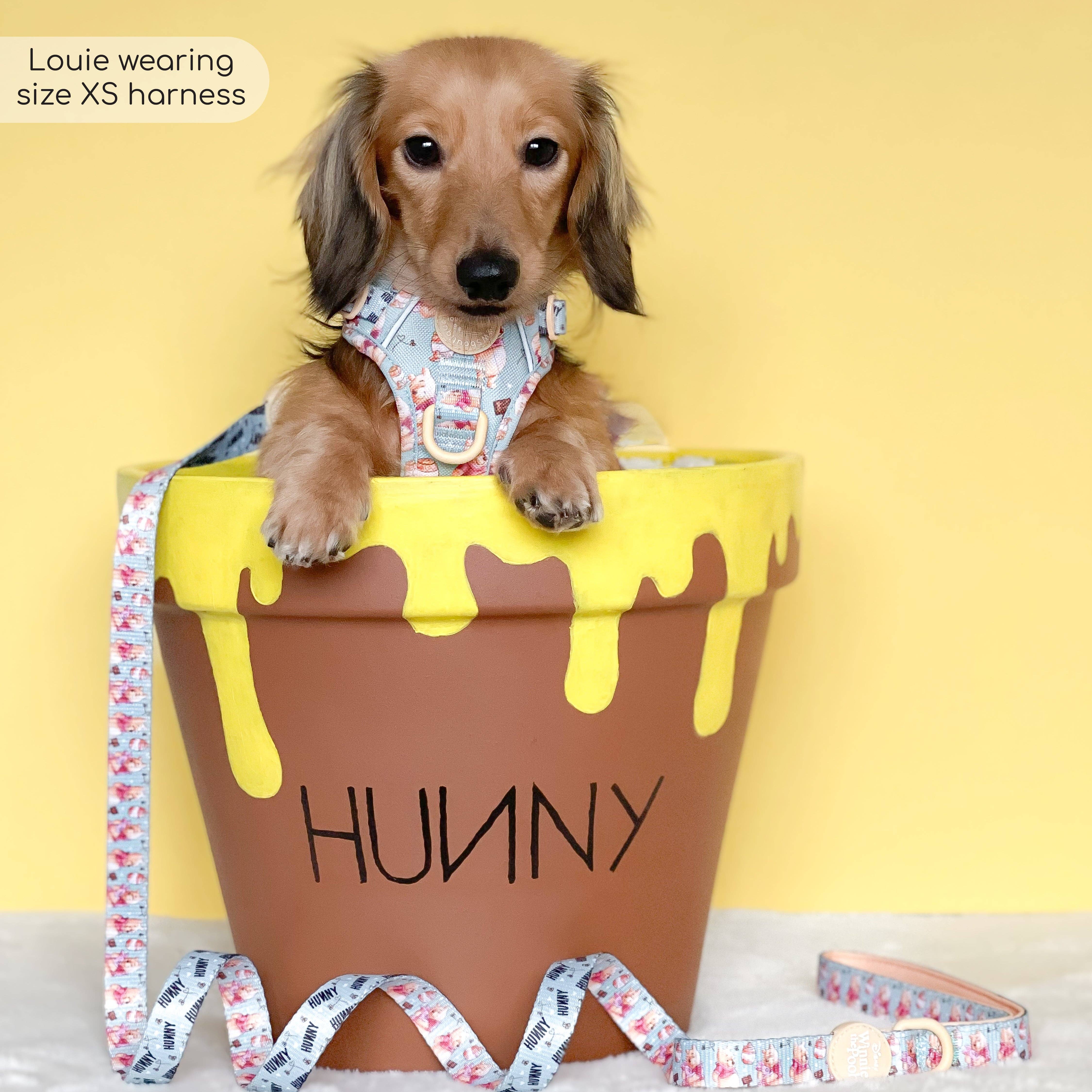 Pawsome Paws – Großhandel Haustiergeschirr – Hund – Disney© Tough Trails™ Geschirr – Winnie Puuh26