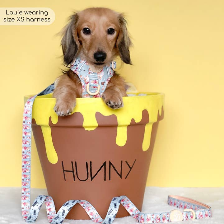 Pawsome Paws – Großhandel Haustiergeschirr – Hund – Disney© Tough Trails™ Geschirr – Winnie Puuh26