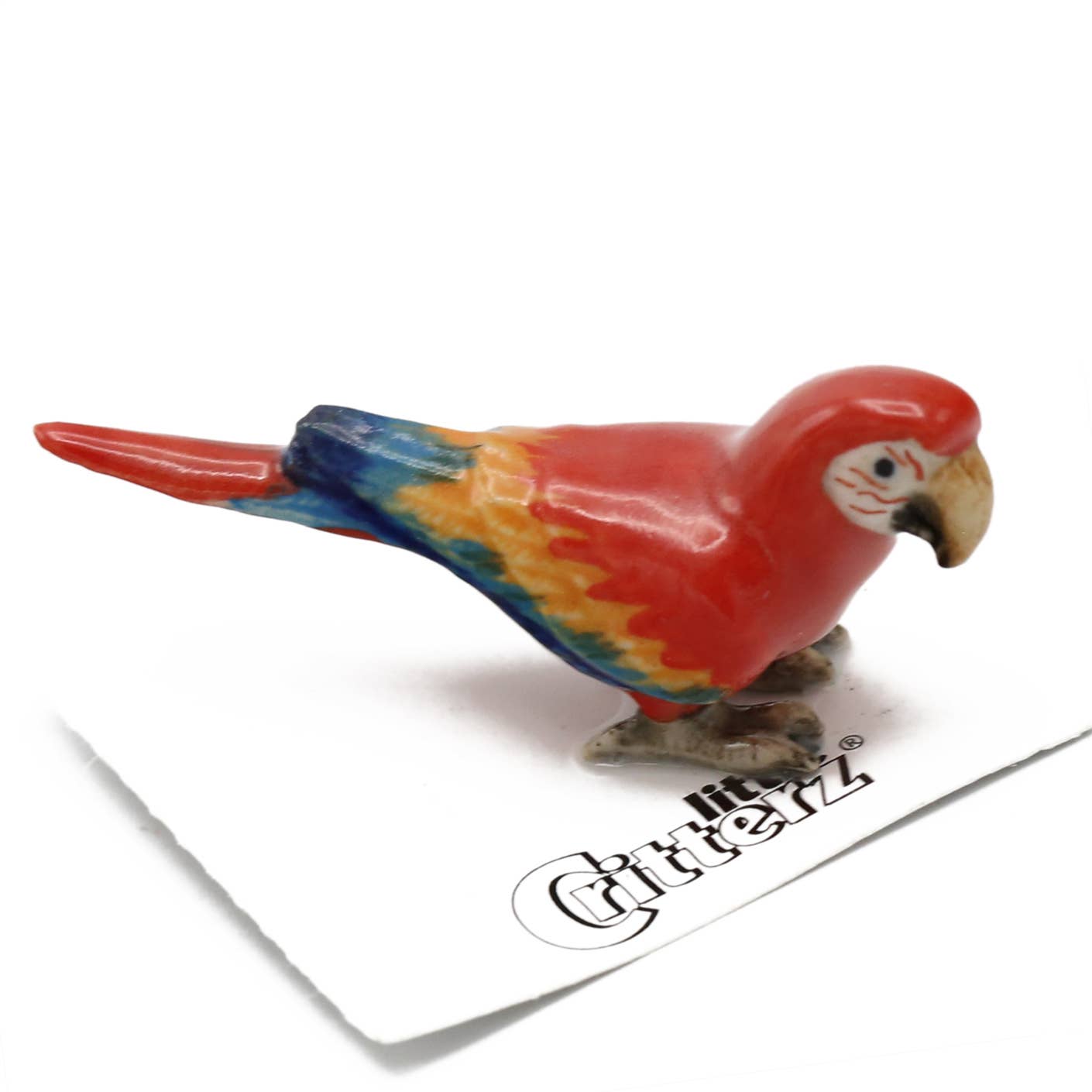 Little Critterz - Wholesale Decorative Figurine - Scarlet Macaw Porcelain Miniature0