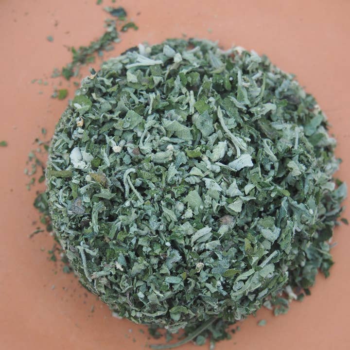 Catnip for wholesale by Wild Few Herb Farm