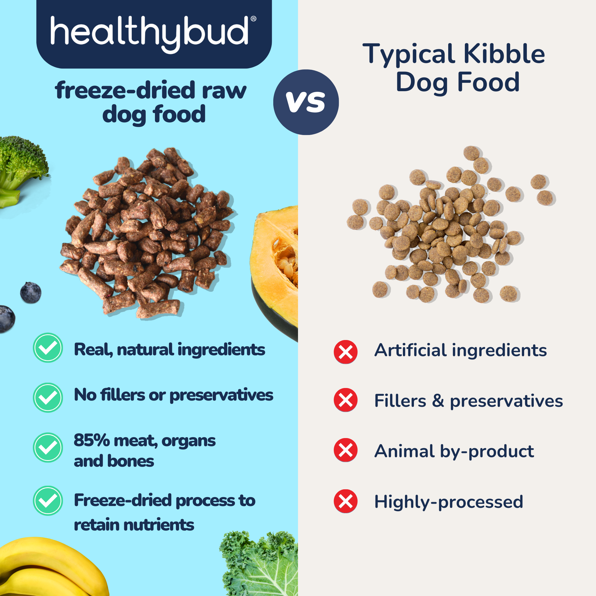 Healthybud - Wholesale Pet Food - Dog - Healthybud's Freeze-Dried Beef Meal Bites for Dogs4