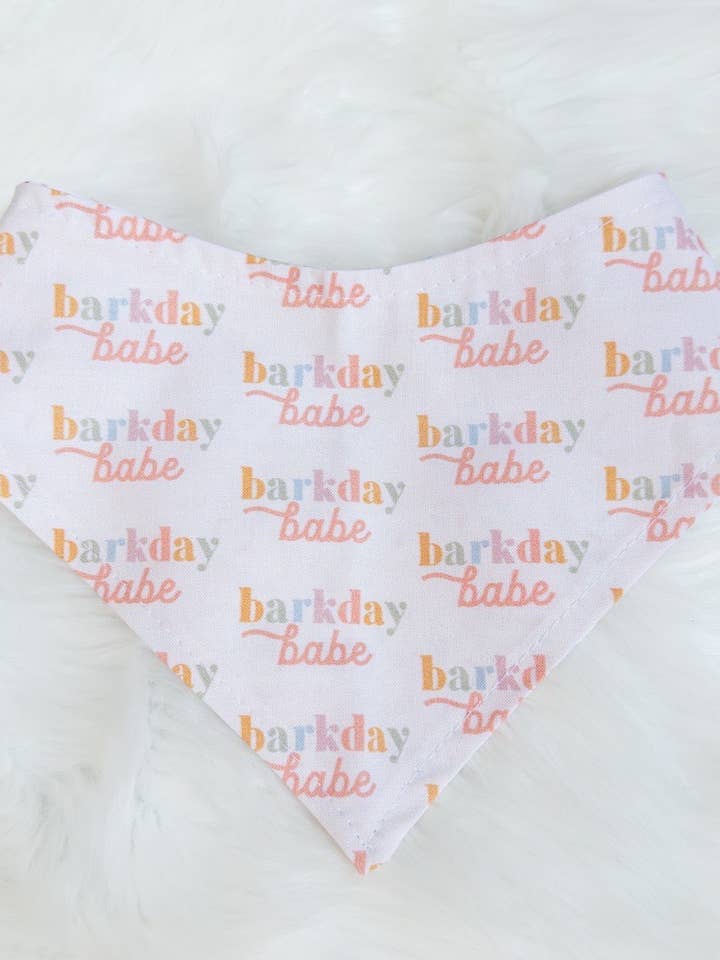 Barkday Babe Elastic Bandana for wholesale by Blonde Sausage Co.
