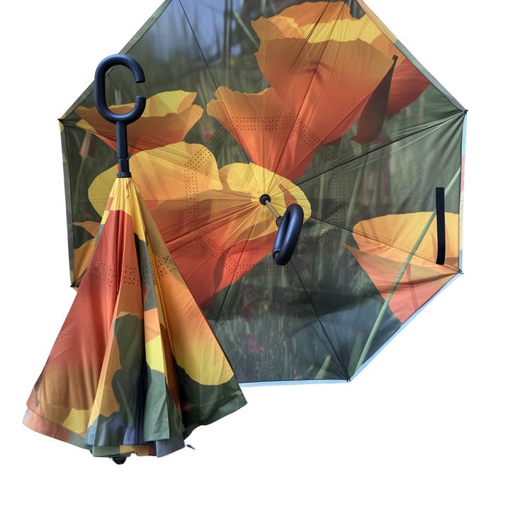 Flor de Papoila, Guarda-chuva Invertido e Independente por atacado de Red Haute Blue