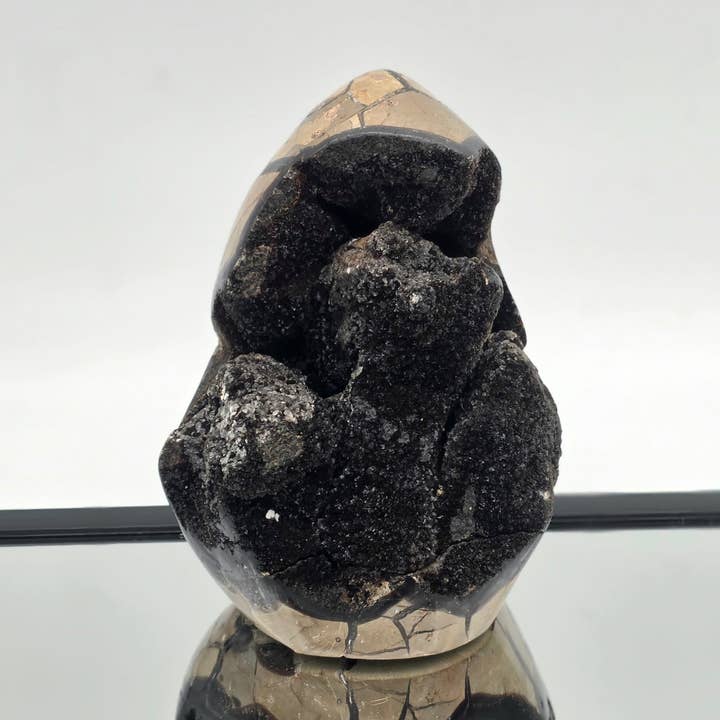 Cristal Septária XL em Forma Livre (5,12kg) por atacado de Distinction Crystals