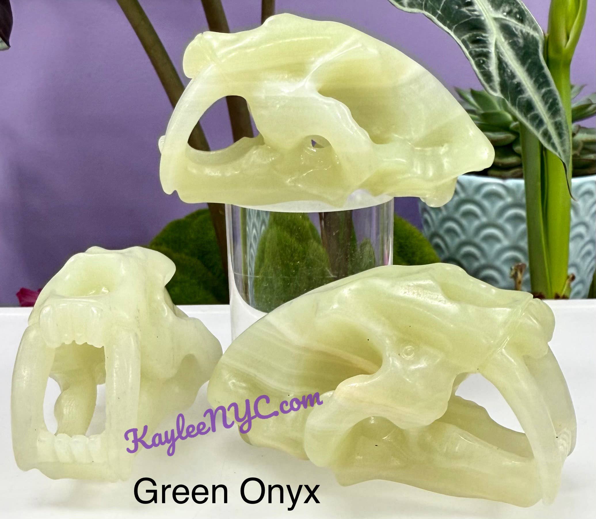 KayleeNYC - Wholesale Spiritual Stone/Crystal - 9cm Mix Natural Crystals Saber Tooth Skull Healing4