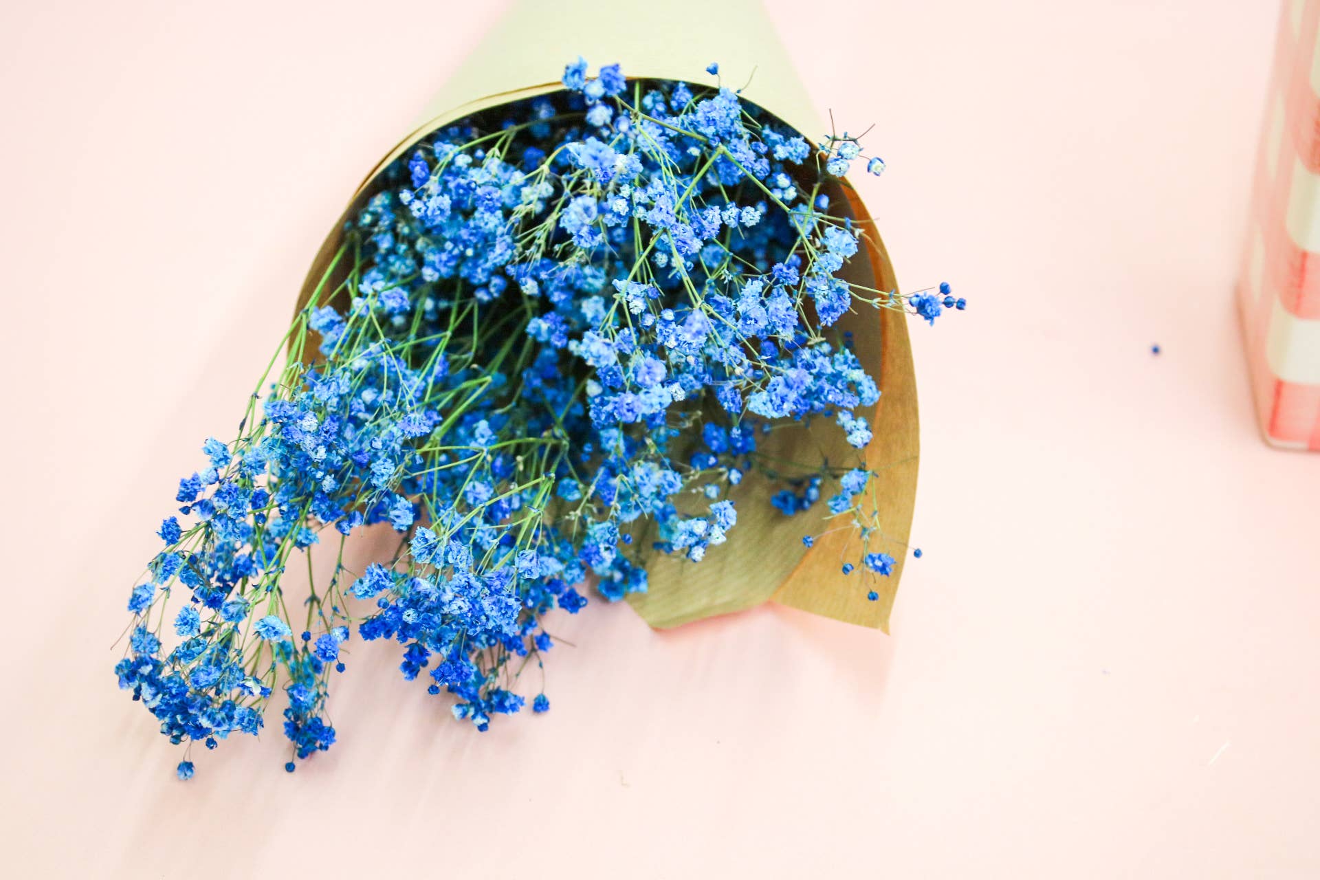 Wildestdreams.flowers - Wholesale Dried/Pressed Flowers - Dried Blue Gypsophila Baby's Breath 4