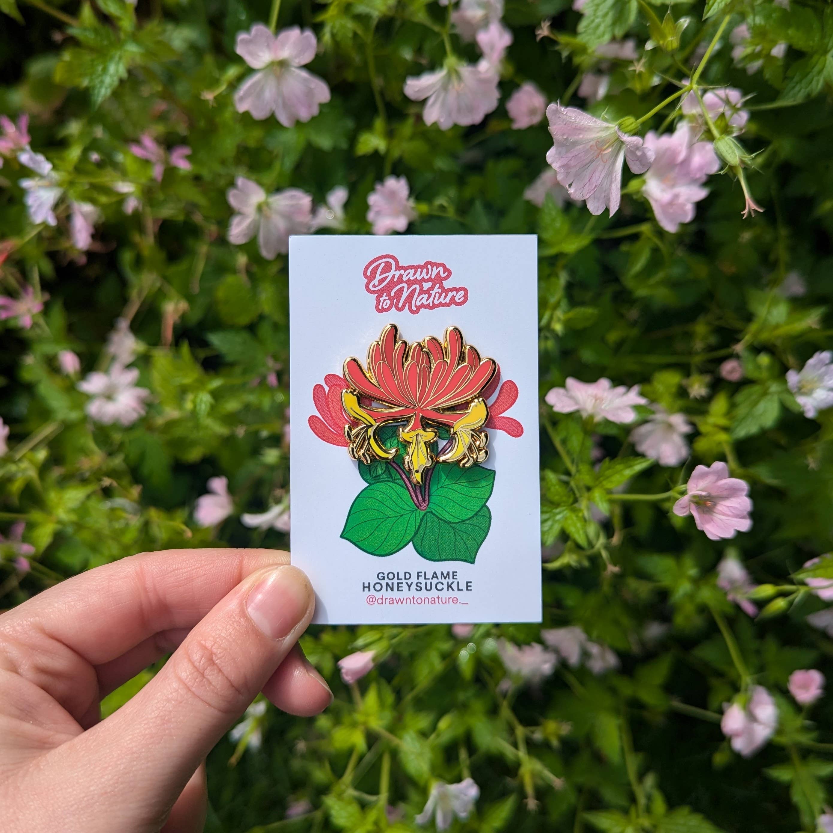 Drawn to Nature - Wholesale Lapel Pin/Button - Honeysuckle Enamel Pin - Wildflowers - Nature Pins2