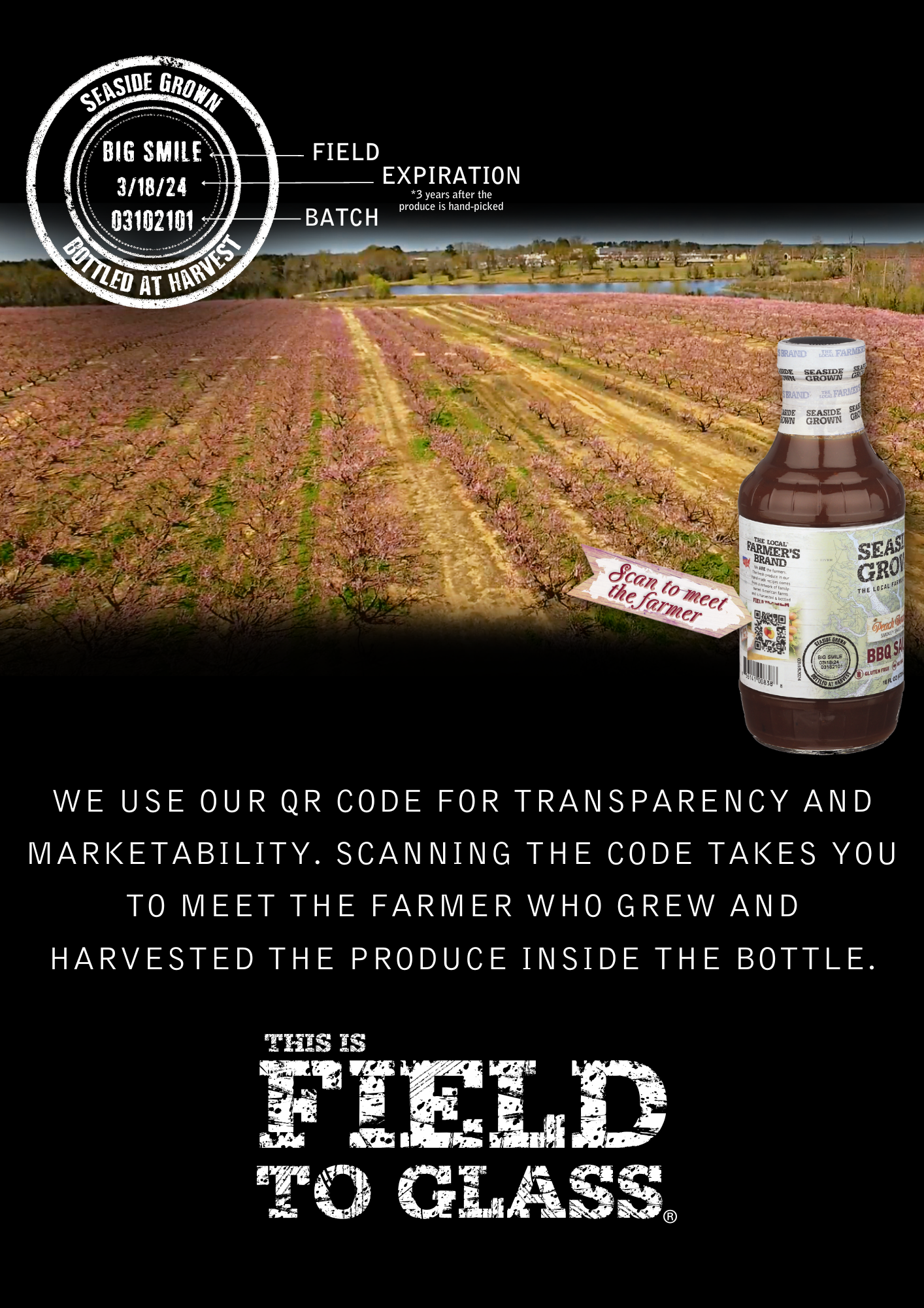 Seaside Grown - Vente Sauces barbecue - Sauce barbecue à la pêche, au bourbon et au bacon3