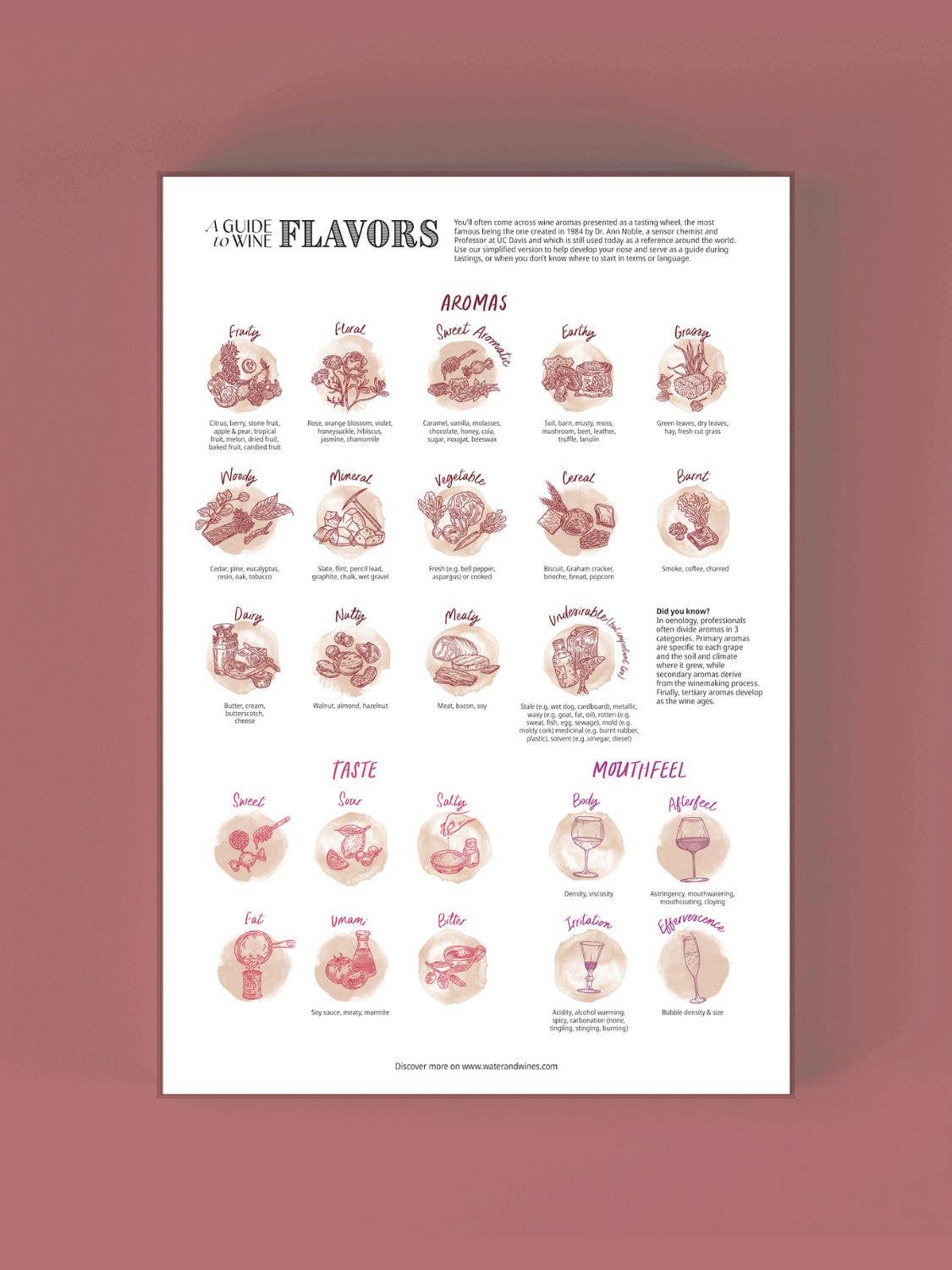 Water & Wines - Wholesale Puzzle - Adult - Wine Puzzle - Periodic Table of Wine4