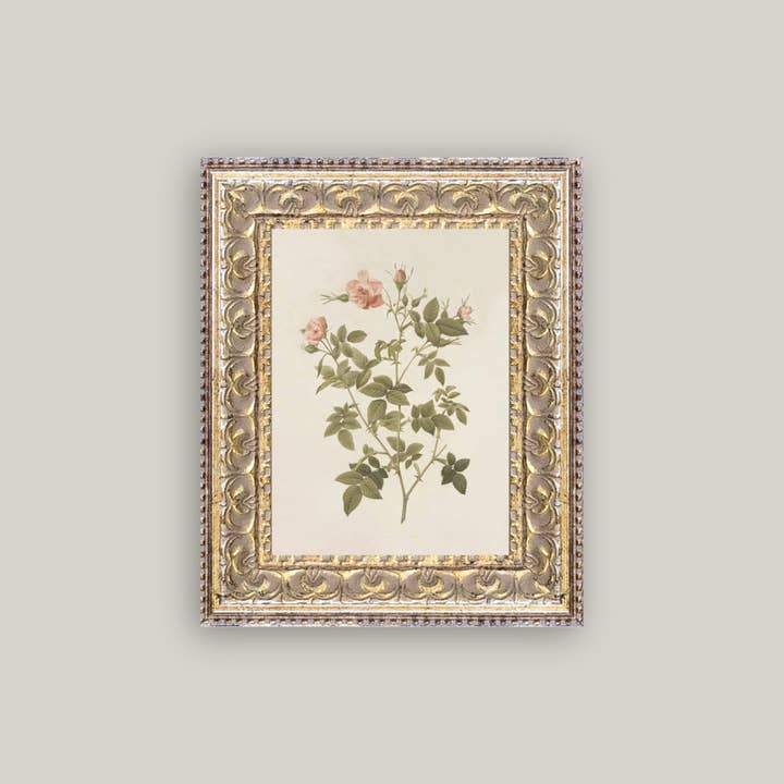 Petal Lane Home - Wholesale Wall Art Set - Rosa Framed Antique Art
