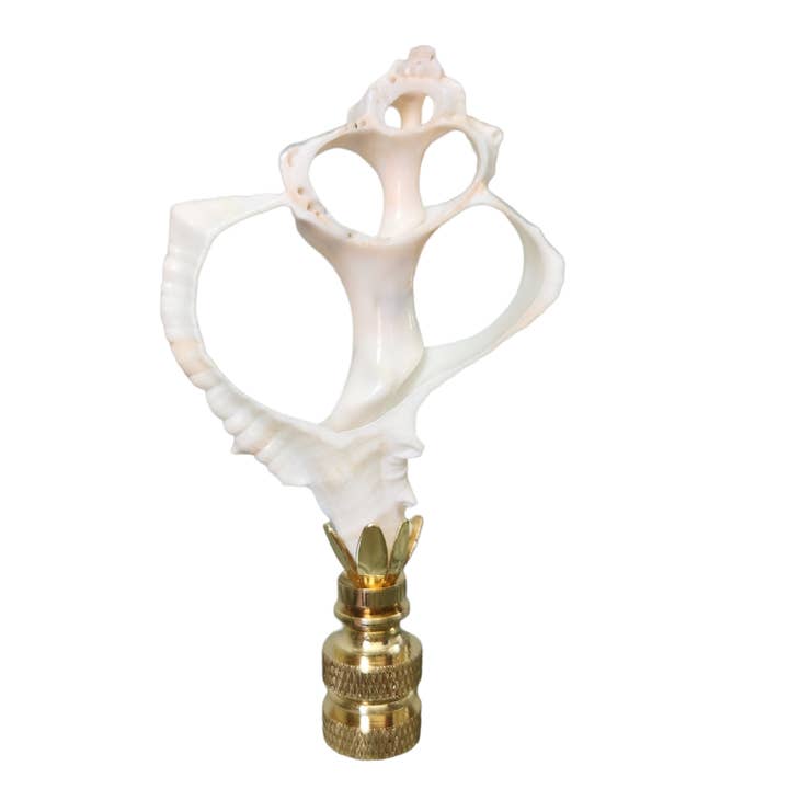 Lámpara con acabado en forma de concha marina en rodajas, tamaño mediano para venta al por mayor de White Tulip Boutique