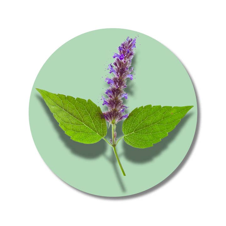 Mystic Patchouli - Solid Fragrance Pod for wholesale by ēma fragrance