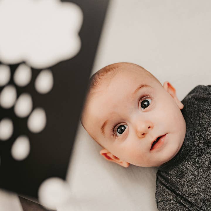 Priya & Peanut - Vente Cartes d'apprentissage – enfant et bébé - Cartes sensorielles pour nouveau-nés (0 mois et plus) | Jouet pour bébé primé