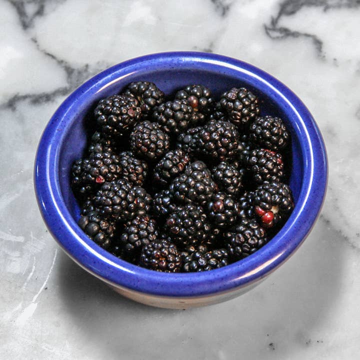 8 oz Baking and Serving Ramekin, 5" Diameter for wholesale by Emerson Creek Pottery