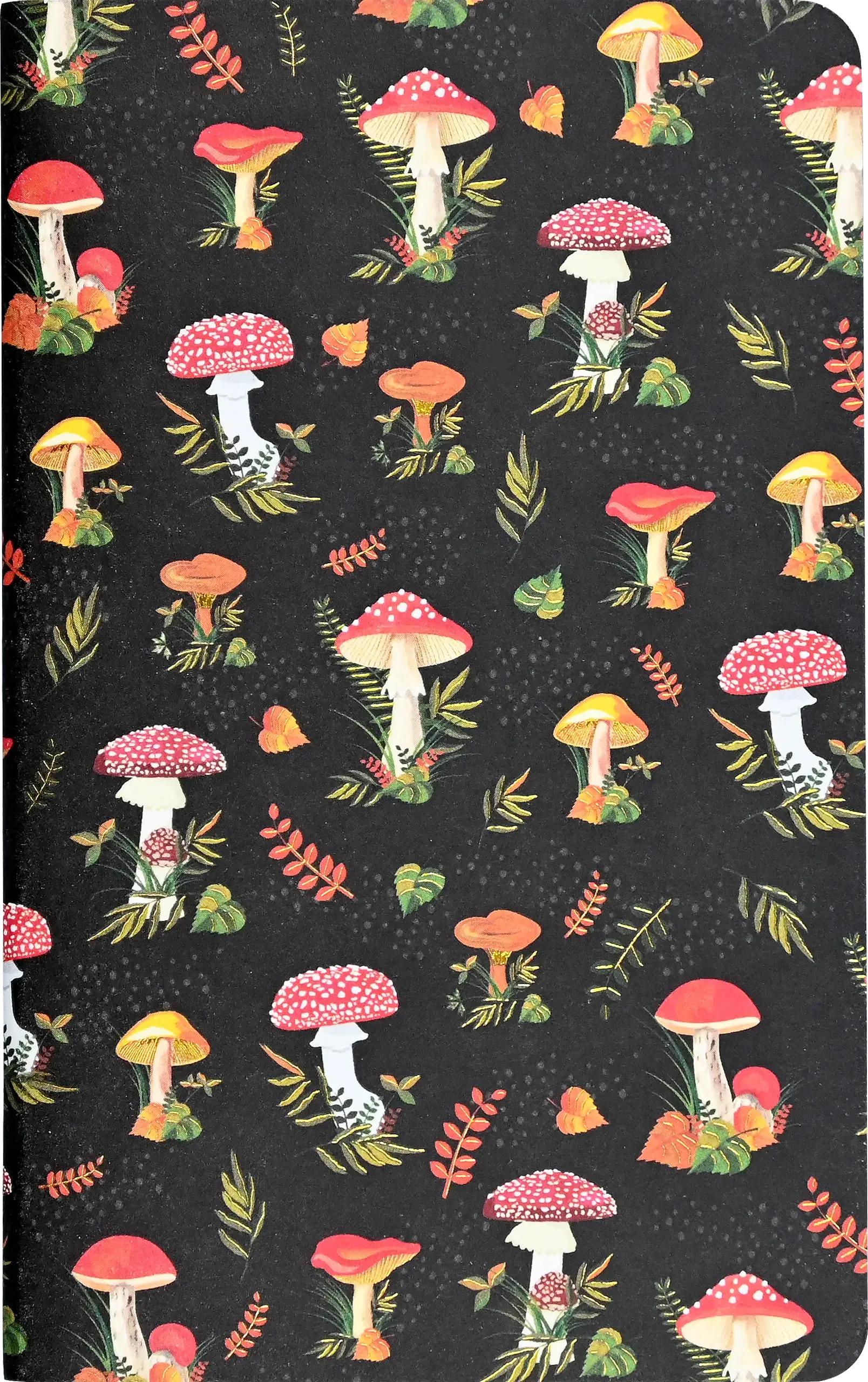 Peter Pauper Press - Vente Cahiers - Ensembles de carnets Jotter Mini : Champignons2