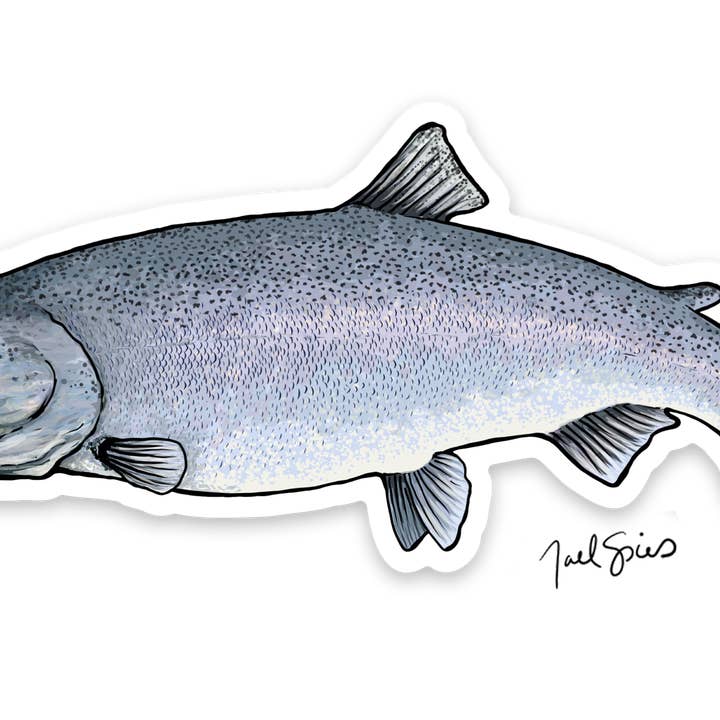 King Salmon Decal for wholesale by BruleBay