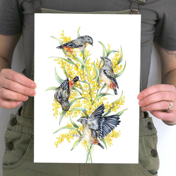 Stampa d'Arte di Pardalote Macchiato per la vendita all'ingrosso da parte di Kayla Reay Design