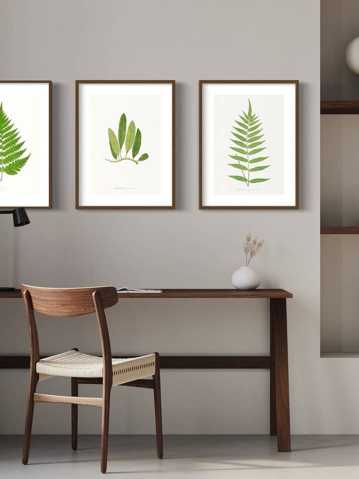 Plante Illustration SÆT AF 3. A4, A3, A2 væg kunst. Museum Vintage kunsttryk. Vintage Print. Naturtryk, Dyreliv, Vægkunst, Botanisk kunst, for engroshandel hos Gabrielle Dalsan